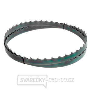 Holzmann Pilový pás 2750x25x0,9 mm, TPI 2 BSB350B25_T22 Holzmann Pilový pás 2750x25x0,9 mm, TPI 2 BSB350B25_T22 gallery main image