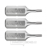 Hrot TORX, sada 3ks, T 6x25mm, S2 Hrot TORX, sada 3ks, T 6x25mm, S2 gallery main image
