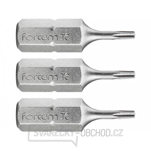 Hrot TORX, sada 3ks, T 6x25mm, S2 gallery main image