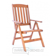 Křeslo VeGA OSCAR 7-poz. Křeslo VeGA OSCAR 7-poz. náhled