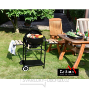 Gril na dřevěné uhlí MESSINA 46cm náhled