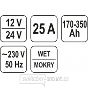 Nabíječka 25A 12/24V Náhled