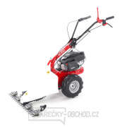 Lištová sekačka na trávu EUROSYSTEMS M210 RATO 170 Lištová sekačka na trávu EUROSYSTEMS M210 RATO 170 náhled