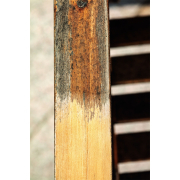 Scheppach Nylonový brusný kartáč pro MRS 1300  Náhled