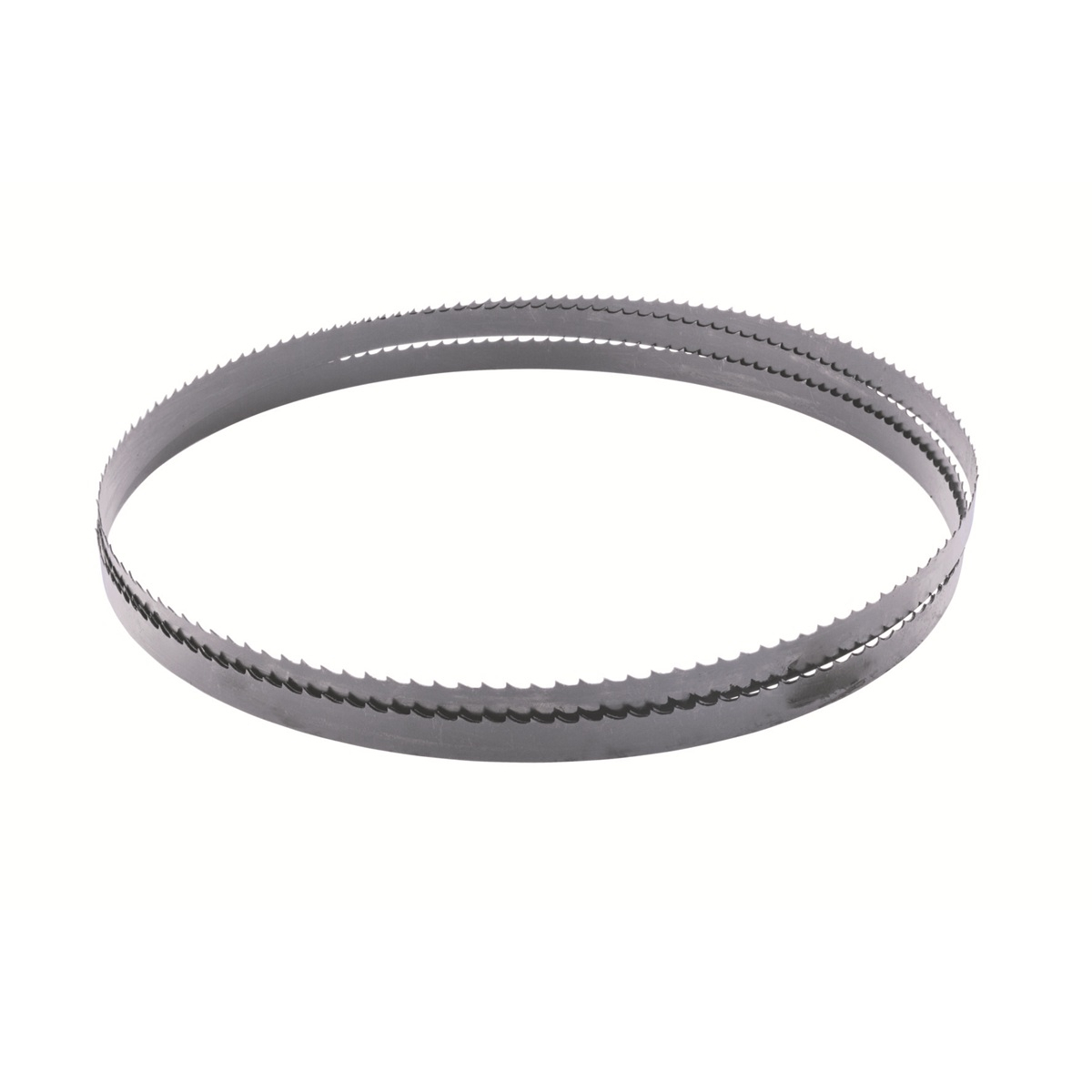 Levně Scheppach Pilový pás (univerzální) pro HBS 261 7901505702