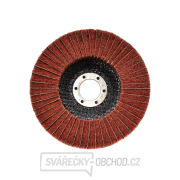 Lamelární kotouč z netkané textilie pro satinovací stroje 125 mm x 22,2 (10/100) Náhled