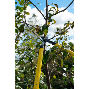 Teleskopické nůžky na větve 650-975 mm, rukojeť PP+TPR (6 ks) náhled