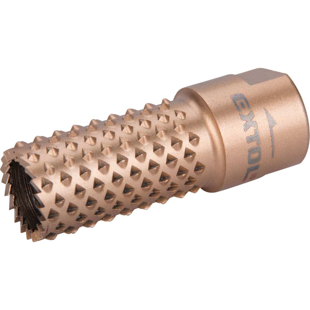 Levně Rašple rotační-válcová s čelními zuby EXTOL, O20mm, závit M14 8803693