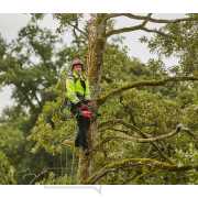 Akumulátorová řetězová pila CRAMER 82TCS15 (Dodáváno bez baterie a nabíječky) Akumulátorová řetězová pila CRAMER 82TCS15 (Dodáváno bez baterie a nabíječky) náhled