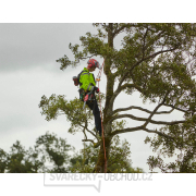 Akumulátorová řetězová pila CRAMER 82TCS15 (Dodáváno bez baterie a nabíječky) náhled
