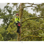 Akumulátorová řetězová pila CRAMER 82TCS15 (Dodáváno bez baterie a nabíječky) náhled