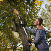 Riwall PRO RAHS 1820i aku ruční řetězová pila 20 V s bezuhlíkovým motorem (bez baterie a nabíječky) Náhled
