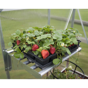 Palram - Canopia Kovová police  Náhled