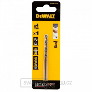 Vrták do kovu 4 mm HSS-G Black&Gold DeWALT DT20517 Náhled