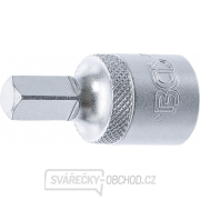 Servisní klíč pro olejové výpusti | 12,5 mm (1/2 Servisní klíč pro olejové výpusti | 12,5 mm (1/2