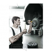 Wera 018164 Šroubovací bit pro rázové šroubováky 851 S náhled