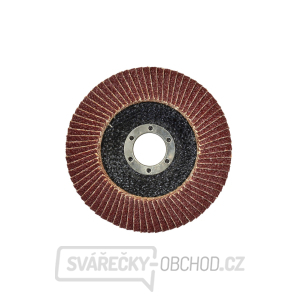 Lamelový kotouč P40 GEKO 115 mm (10/200) Lamelový kotouč P40 GEKO 115 mm (10/200) gallery main image