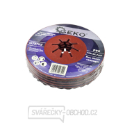 Brusný kotouč z kameninových vláken 125 mm P80 (10/200) Brusný kotouč z kameninových vláken 125 mm P80 (10/200) náhled