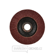 Lamelový kotouč 125 mm P60(10/200) Náhled