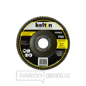 Lamelový kotouč 125 mm P60(10/200) Lamelový kotouč 125 mm P60(10/200) gallery main image