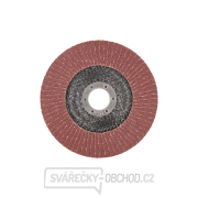 Lamelový kotouč 125 mm P100 (10/200) Náhled