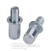 Šrouby nýtovací ocelové sada 15ks, M8x12mm Náhled