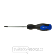 Šroubovák Torx t10x100 mm GEKO (10/100) Šroubovák Torx t10x100 mm GEKO (10/100) gallery main image
