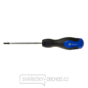 Šroubovák Torx t20x100 mm GEKO (10/100) Šroubovák Torx t20x100 mm GEKO (10/100) gallery main image