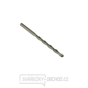 Profi fréza na kámen 6/100 mm (5/1000) Profi fréza na kámen 6/100 mm (5/1000) gallery main image