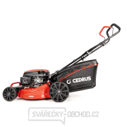 Benzínová sekačka na trávu Hahn & Sohn KS48 Benzínová sekačka na trávu Hahn & Sohn KS48 náhled