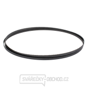 IGM Carbon FORCE REGULAR Pilový pás 2946mm - 10 x 0,65mm 6Tpi IGM Carbon FORCE REGULAR Pilový pás 2946mm - 10 x 0,65mm 6Tpi gallery main image