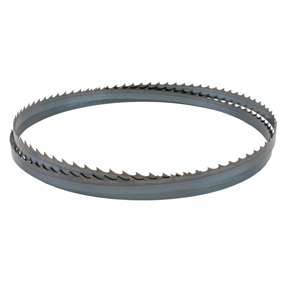 IGM Carbon FORCE HOOK Pilový pás 2946mm - 19 x 0,8mm 2Tpi F209-019