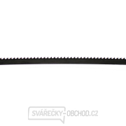 IGM Carbon FORCE REGULAR Pilový pás 1712mm - 10 x 0,65mm 6Tpi Náhled