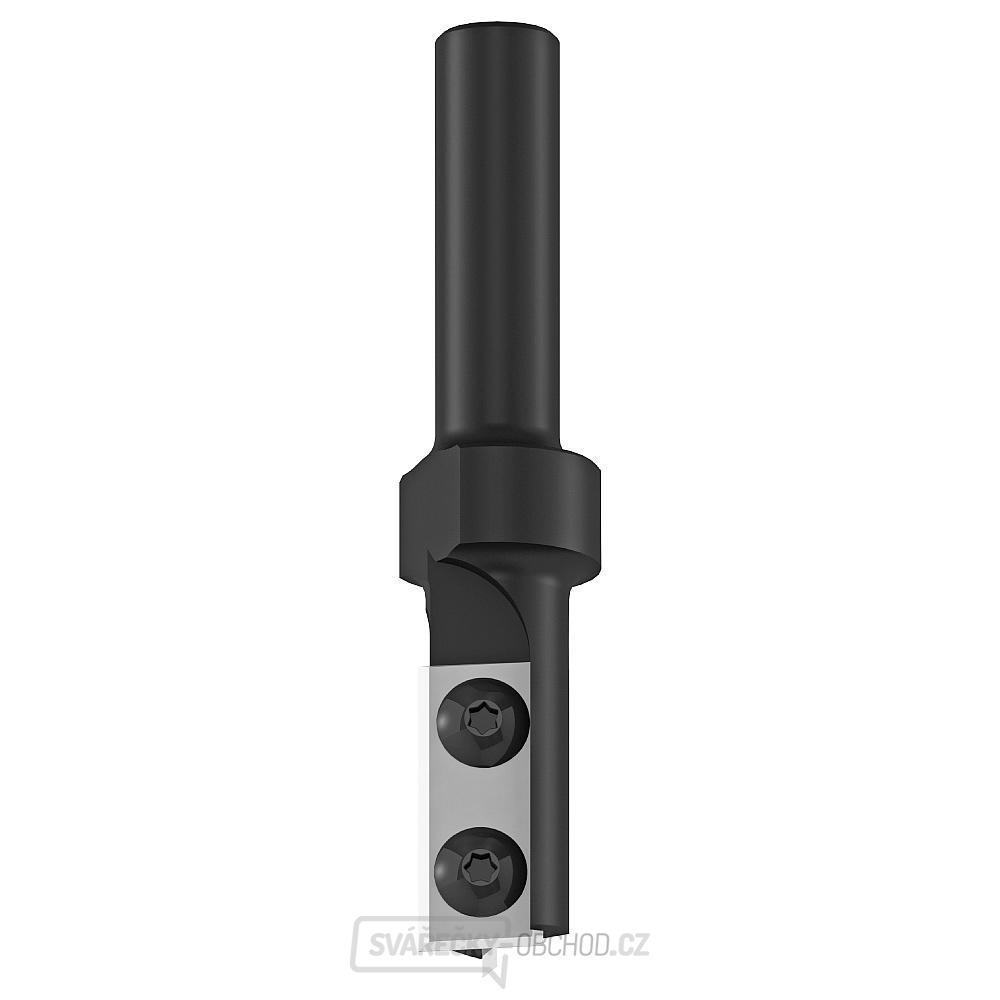 IGM F044 Drážkovací fréza se zavrtávací žiletkou - D16x28,3 L81 S=8 HW