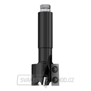 IGM F453 Drážkovací fréza zavrtávací HW - D40x29,5 L100 S=20 Z2+2 IGM F453 Drážkovací fréza zavrtávací HW - D40x29,5 L100 S=20 Z2+2 gallery main image