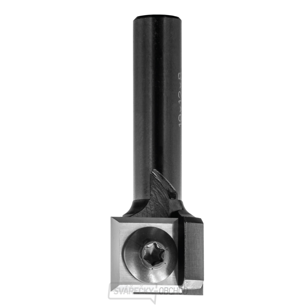 IGM F043 Drážkovací žiletková fréza - D19x12 L45 S=8 HW