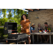 Riwall PRO RCG 60 gril na dřevěné uhlí Riwall PRO náhled