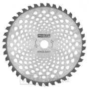Nůž křovinořezu (kotouč) (D255*25.4) 40T karbid wolframu PROCRAFT | H/P-40T Nůž křovinořezu (kotouč) (D255*25.4) 40T karbid wolframu PROCRAFT | H/P-40T gallery main image