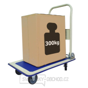 Sherman Přepravní plošinový vozík do skladu 300 kg Náhled