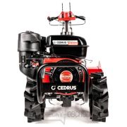 Hahn & Sohn Cedrus Kultivátor GLX540 Náhled
