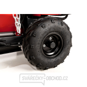 Drtič větví Hahn & Sohn Cedrus RB05PRO-HE náhled