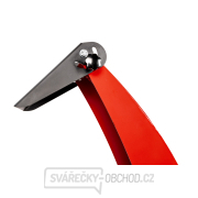 Benzínový drtič větví Hahn & Sohn Cedrus RB03 náhled