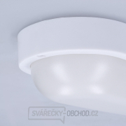 Solight LED venkovní osvětlení oválné, 13W, 910lm, 4000K, IP54, 21cm náhled