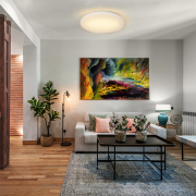 Solight LED stropní světlo Plain, 15W, 1200lm, 3000K, kulaté, 26cm Náhled