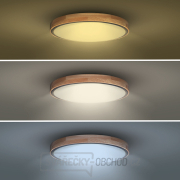 Solight LED osvětlení s dálkovým ovladačem Iron Oak, 48W, 3360lm, 40cm, změna chromatičnosti, stmívatelné náhled
