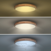 Solight LED osvětlení s dálkovým ovladačem Iron Oak, 60W, 4200lm, 51cm, změna chromatičnosti, stmívatelné náhled