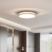 Solight LED osvětlení s dálkovým ovladačem Woody, 60W, 4200lm, 50cm, změna chromatičnosti, stmívatelné náhled