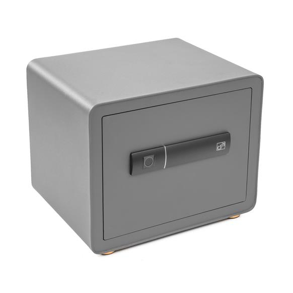 Levně Trezor G21 na otisk prstu 380x310x300mm 06445243